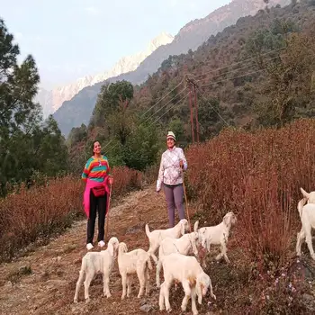 The Triund trail winding up through Himalayan ridgelines near Dharamshala, Himachal Pradesh